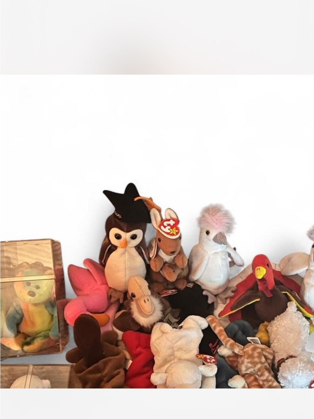 Bundle of beanie babies